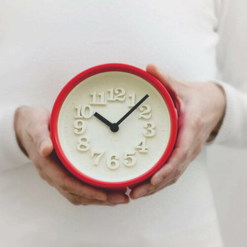Lemnos Wall Clock Chiisana Tokei