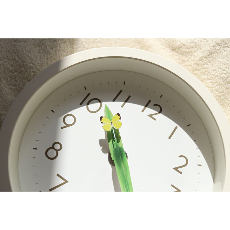 Lemnos Clock Perch Colias Erate - Image 4